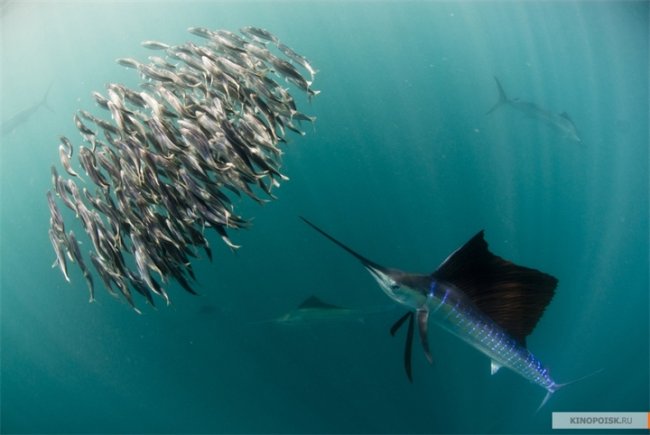 Фильм "Одна жизнь" - Трейлеры