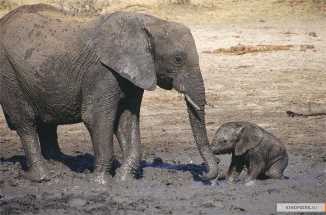 Фильм "Одна жизнь" - Трейлеры