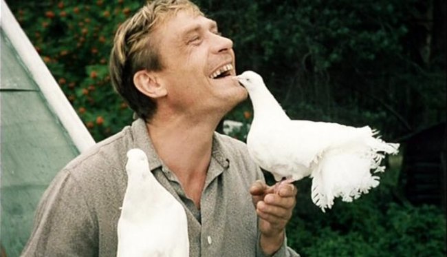 “Любовь и голуби”: детали и факты - Трейлеры