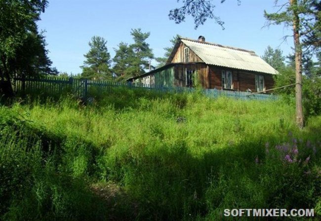 “Любовь и голуби”: детали и факты - Трейлеры