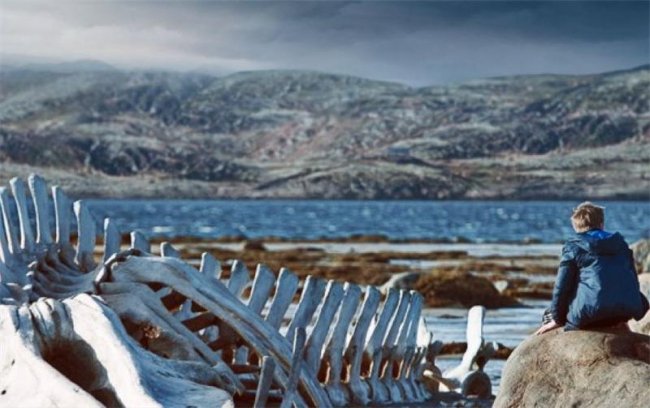 50 фильмов из 100 лучших за это столетие - Трейлеры