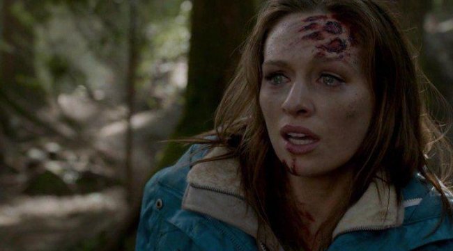 Гризли / Grizzly (2014) - Трейлеры