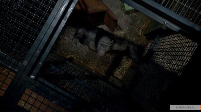 Восстание планеты обезьян (2011) - Трейлеры