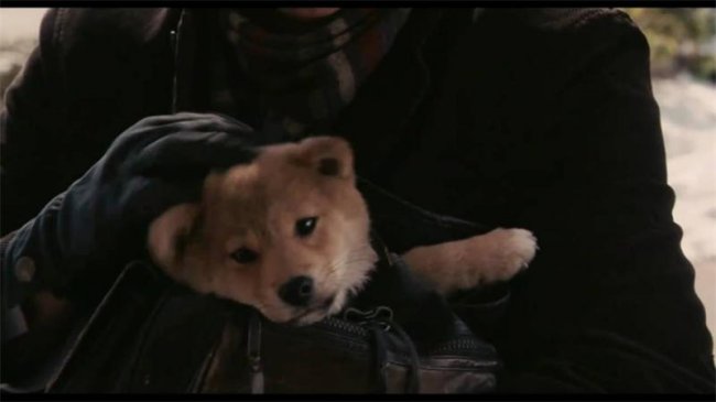 ХАТИКО - верность и преданость. - Трейлеры