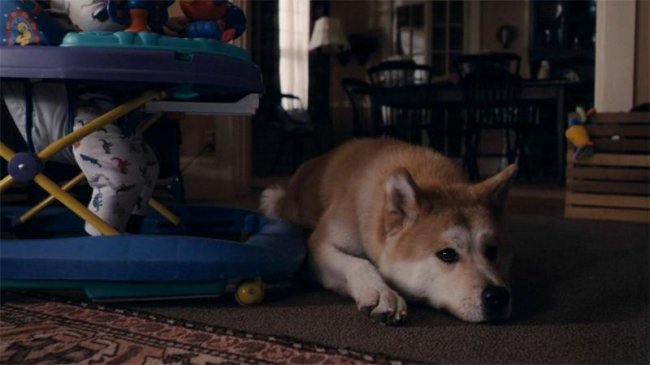 ХАТИКО - верность и преданость. - Трейлеры