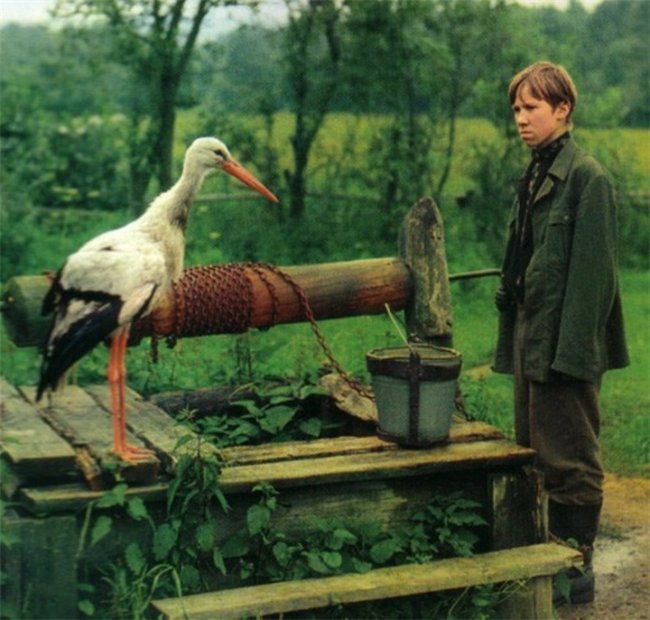 Фильм "Иди и смотри" (1985) - Трейлеры