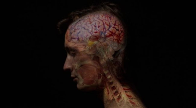 Синдром Гербера / The Gerber Syndrome: il contagio (2011) - Трейлеры