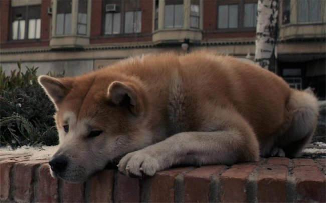 а ты сможешь посмотреть этот фильм и не заплакать. - Трейлеры