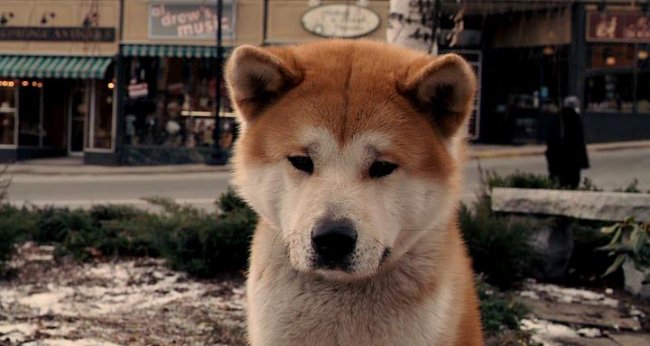 а ты сможешь посмотреть этот фильм и не заплакать. - Трейлеры