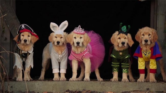 Мистическая пятёрка - Трейлеры