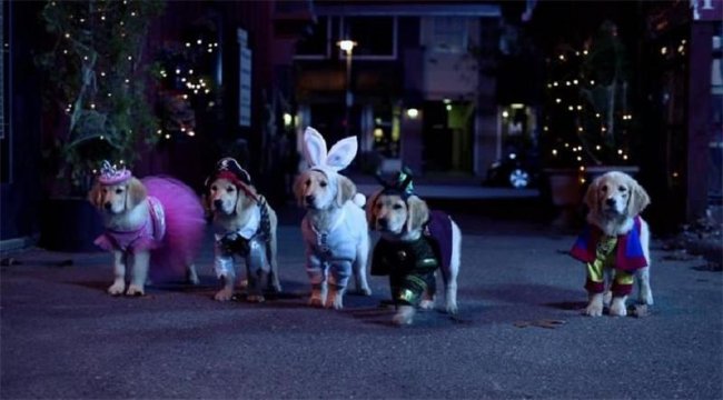 Мистическая пятёрка - Трейлеры