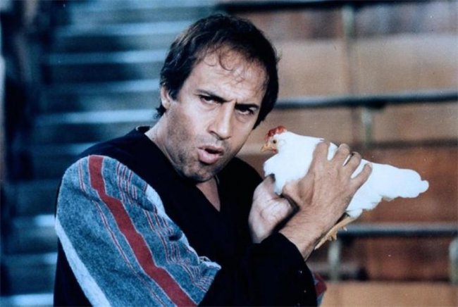 Бинго Бонго - Трейлеры