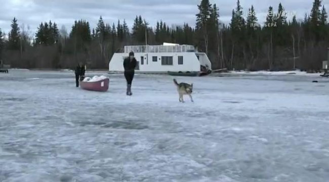 Судный день Дэна / Dannys dommedag (2014) - Трейлеры