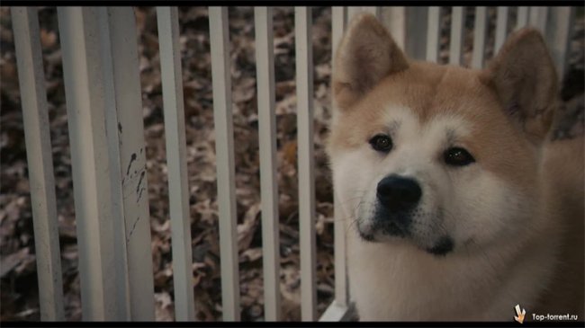 Хатико: Самый верный друг - Трейлеры