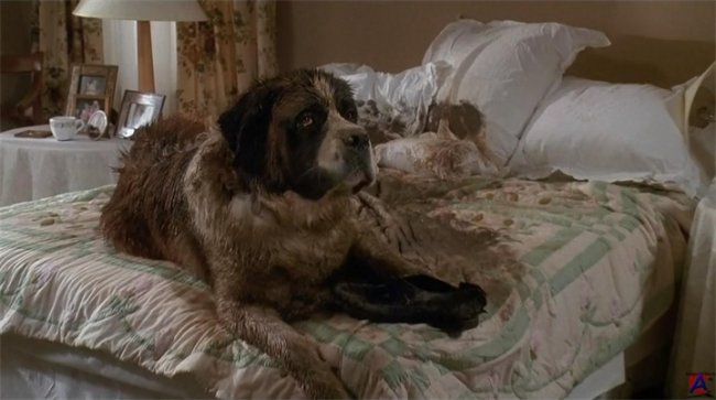 Фильм Бетховен - Трейлеры