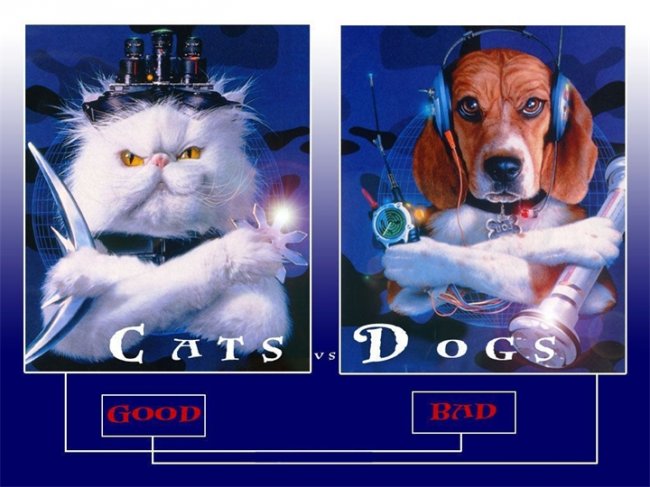 «Кошки против собак» – динамичная кинокомедия - Трейлеры