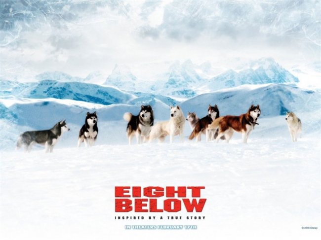 Белый плен (Eight-Below) - Трейлеры