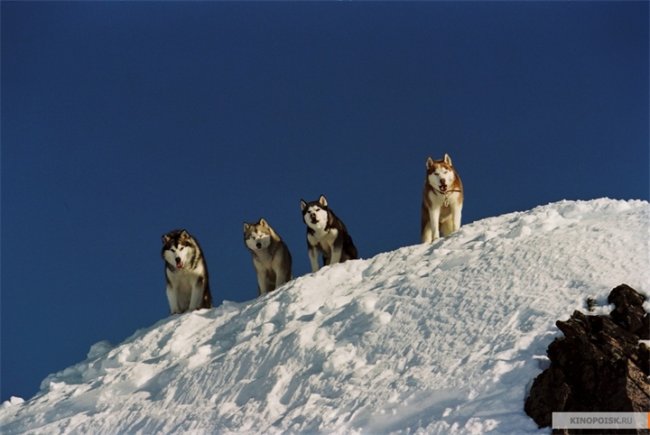 Белый плен (Eight-Below) - Трейлеры