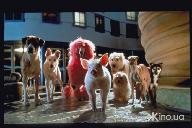 БЭЙБ(четвероногий малыш)-САМЫЙ ДОБРЫЙ ФИЛЬМ!!! - Трейлеры