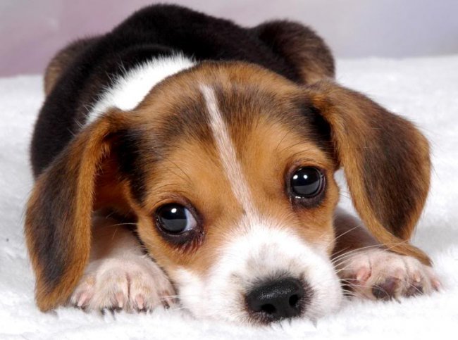 Выход есть всегда! - Трейлеры