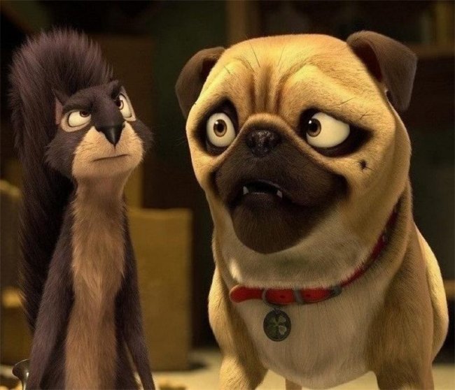 Новый мультфильм "Реальная белка" - Трейлеры