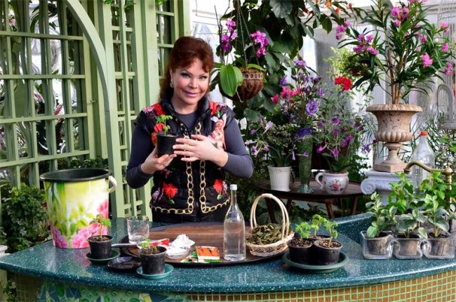 Ольга Платонова - ландшафтный дизайнер - Биографии