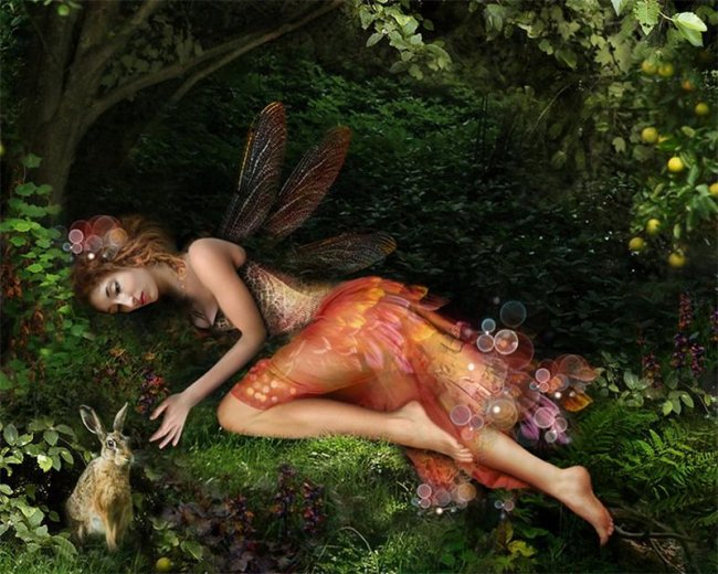 сказочный мир фей - Трейлеры