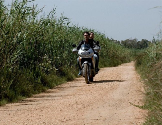 Пристегните ремни / Allacciate le cinture (2014) - Трейлеры