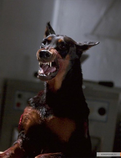 Обитель зла 2: Апокалипсис (2004) - Трейлеры