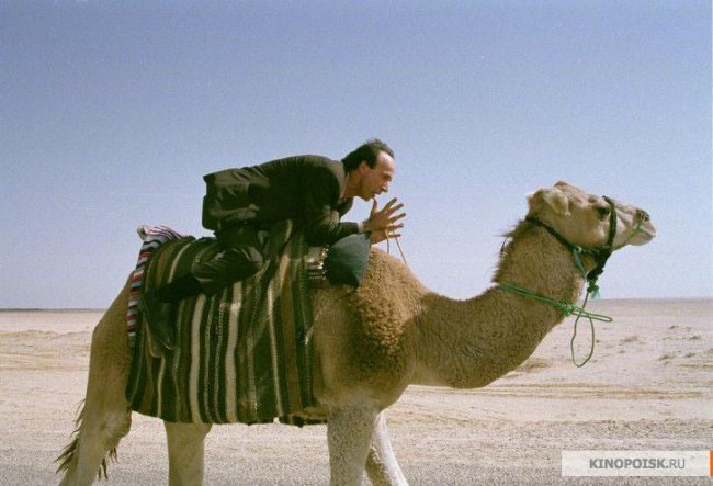 Тигр и снег (2005) - Трейлеры