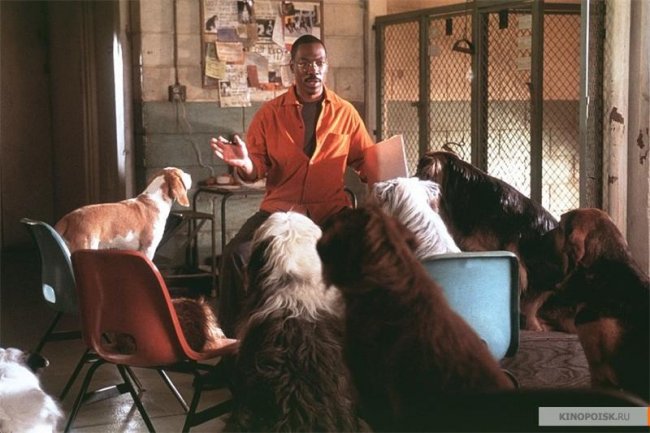 Доктор Дулиттл 2 (2001) - Трейлеры