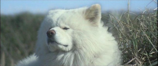 Васао / Wasao (2011) - Трейлеры