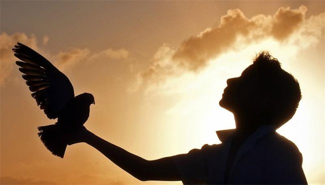 Поведение / Conducta (2014) - Трейлеры