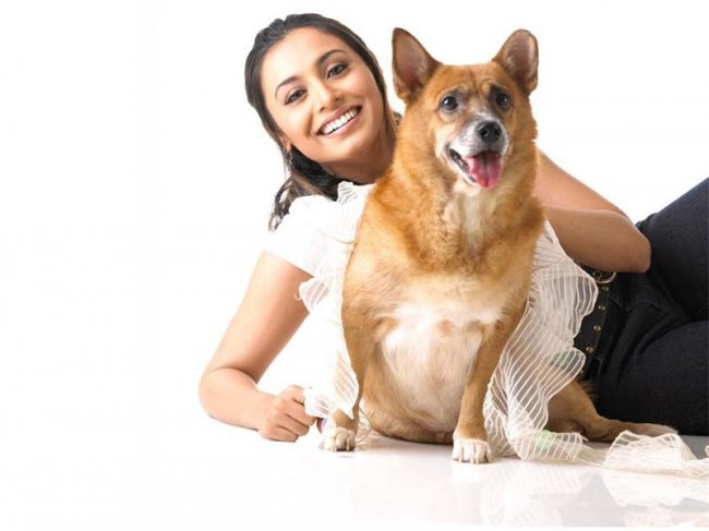 Мукерджи Рани - Биографии