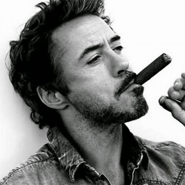 Роберт Дауни-младший - Биографии