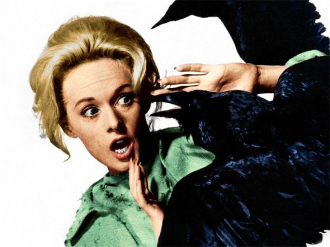 Птицы/The Birds (1963) - экзистенциальный триллер Альфреда Хичкока - Трейлеры