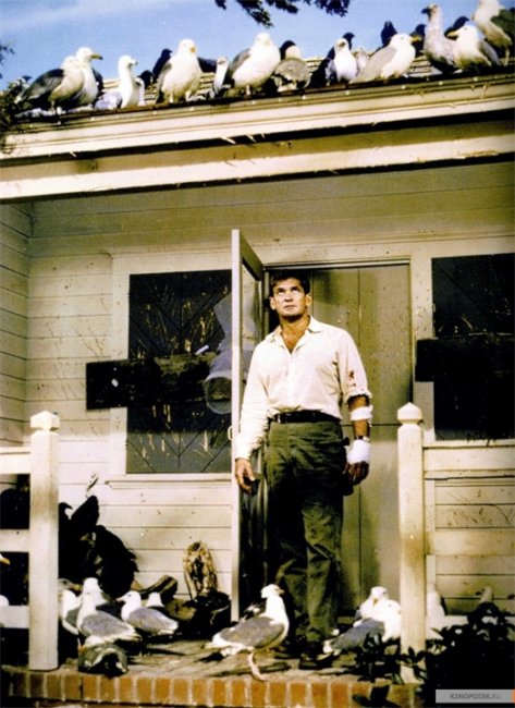 Птицы/The Birds (1963) - экзистенциальный триллер Альфреда Хичкока - Трейлеры