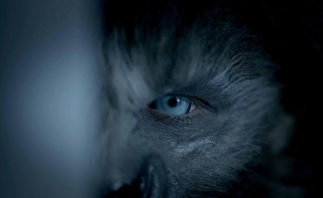 Волки / Wolves (2014) - Трейлеры