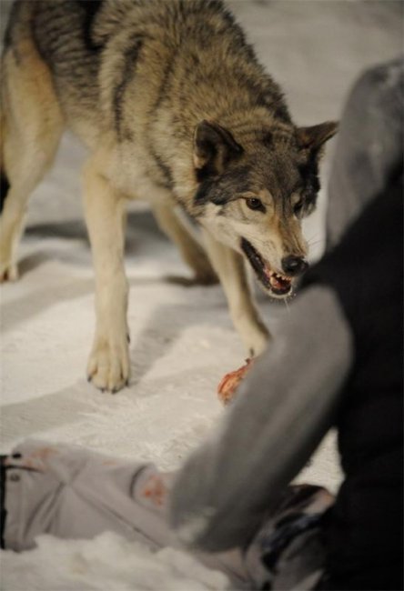 Фильм Замерзшие - Трейлеры