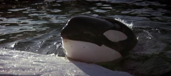 Смерть среди айсбергов - Трейлеры