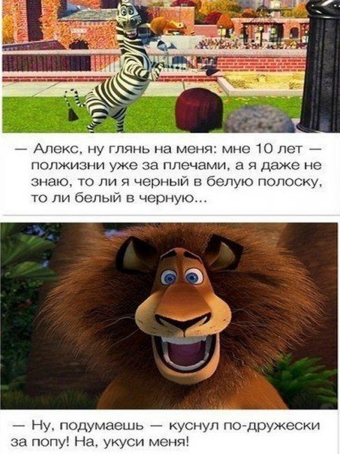 Любимые фразы из любимых мультфильмов! - Трейлеры