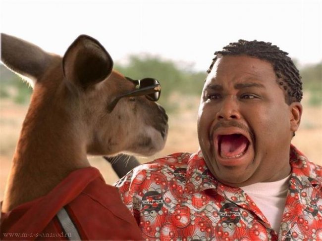 «Кенгуру Джекпот», фильм, 2003 г. - Трейлеры