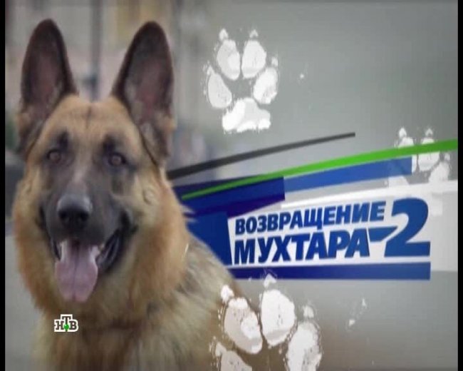 Возвращение Мухтара - Трейлеры