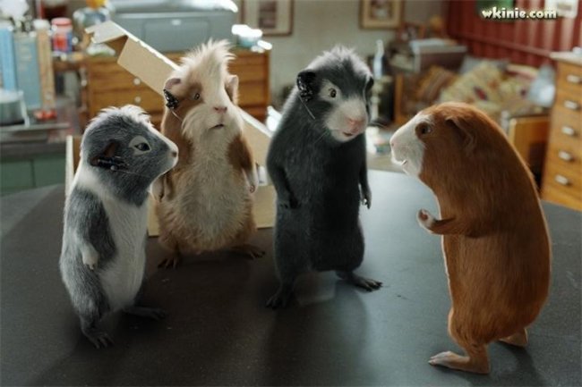 «Миссия Дарвина», фильм, 2009 г. - Трейлеры