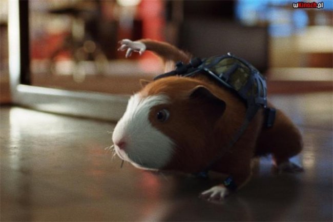 «Миссия Дарвина», фильм, 2009 г. - Трейлеры