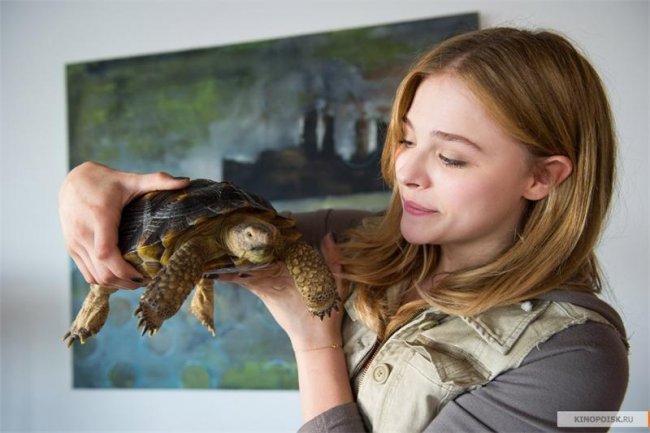 Детка/Laggies - Трейлеры