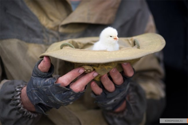 АВГУСТ. ВОСЬМОГО (2012) - Трейлеры
