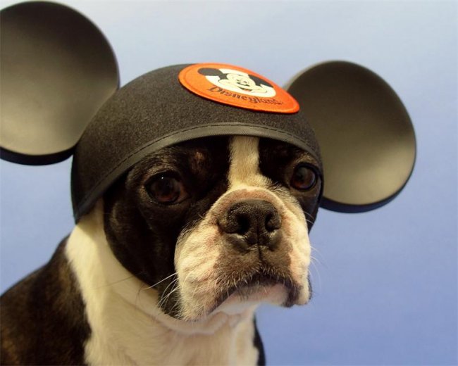 А ПОМНИТЕ ЧЕБУРАШКУ?)) - Трейлеры