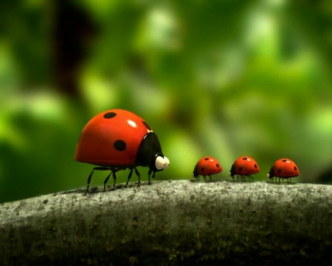 Букашки-сериал для самых маленьких - Трейлеры