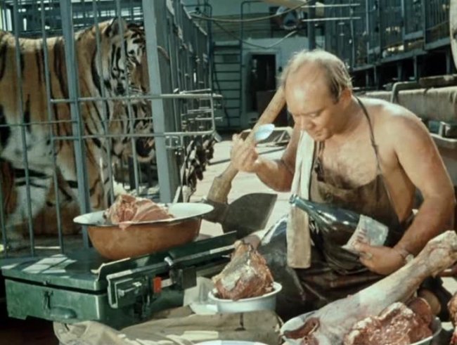 Фильм "Полосатый рейс". - Трейлеры